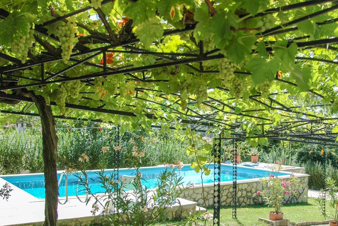 Villa Regina Serafina Μπαλτσίκ Εξωτερικό φωτογραφία
