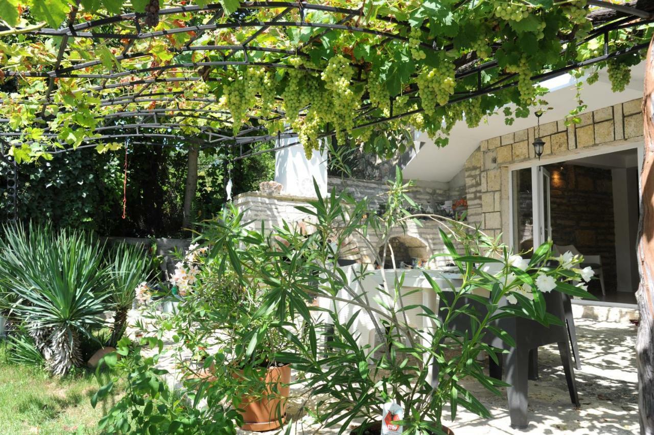 Villa Regina Serafina Μπαλτσίκ Εξωτερικό φωτογραφία