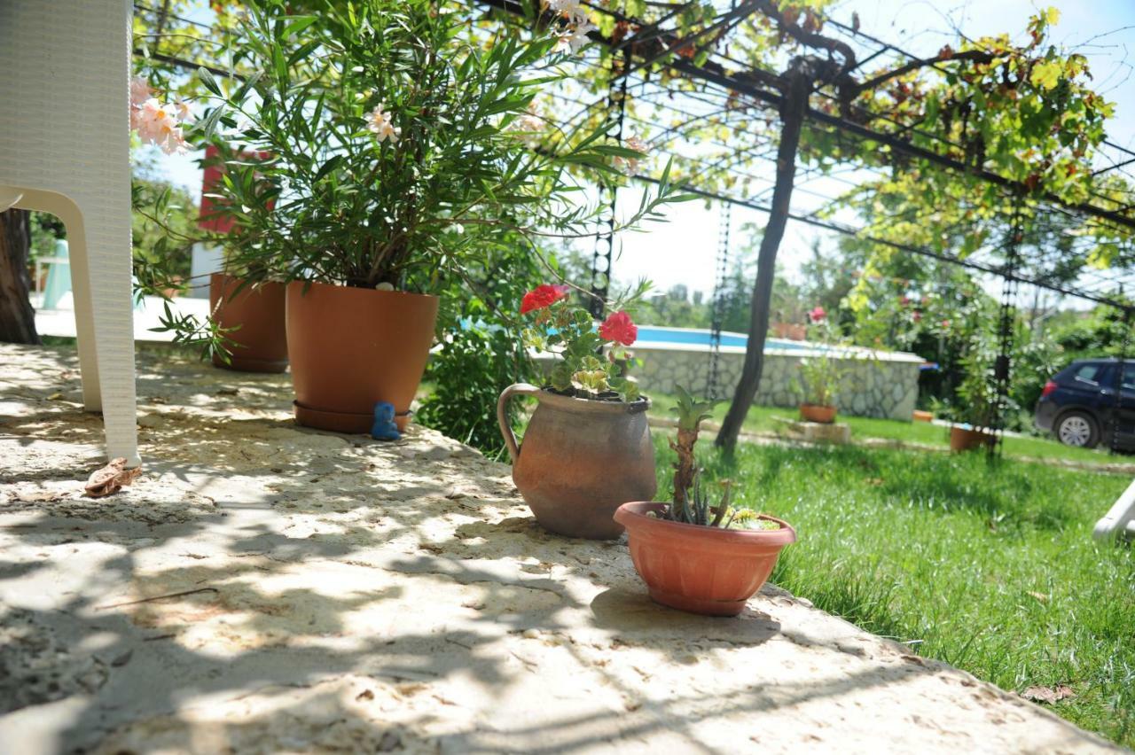 Villa Regina Serafina Μπαλτσίκ Εξωτερικό φωτογραφία